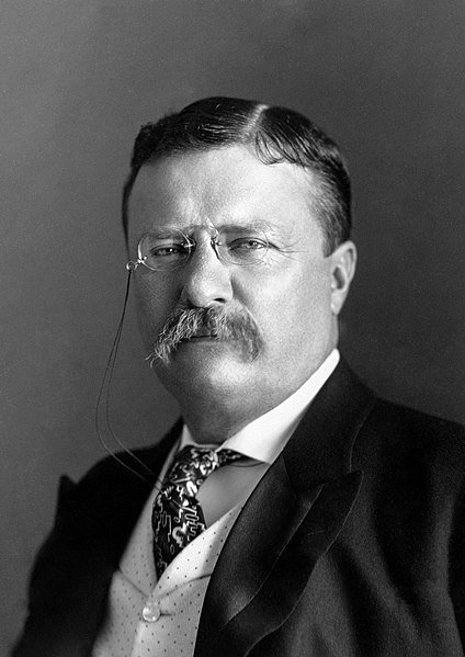 424px-President_Roosevelt_-_Pach_Bros Theodore-Roosevelt-around-1904